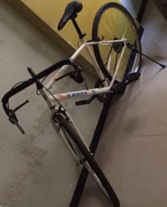 kross impel gusto cycle price