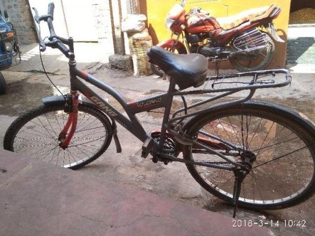 gang cycle price 5000