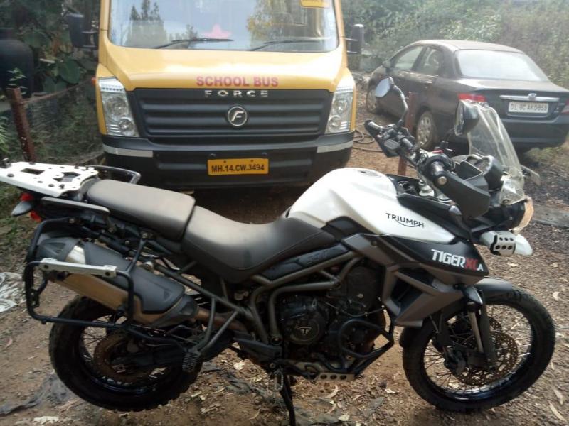 Triumph Tiger Super Bike For Sale In Pune Id 1416280437 Droom