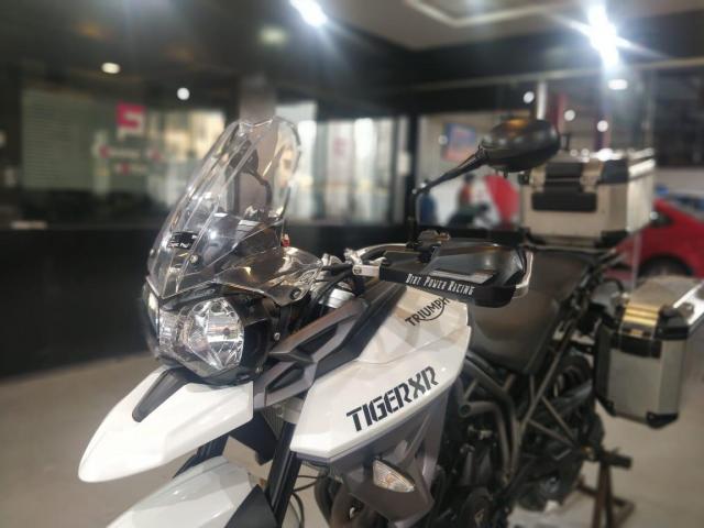 Triumph Tiger Super Bike For Sale In Ahmedabad Id 1416585166 Droom