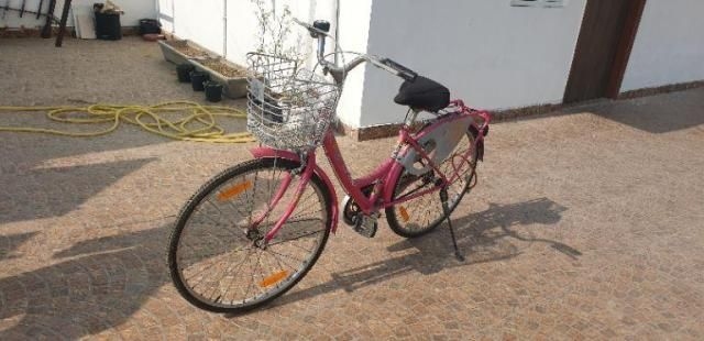 olx lady cycle